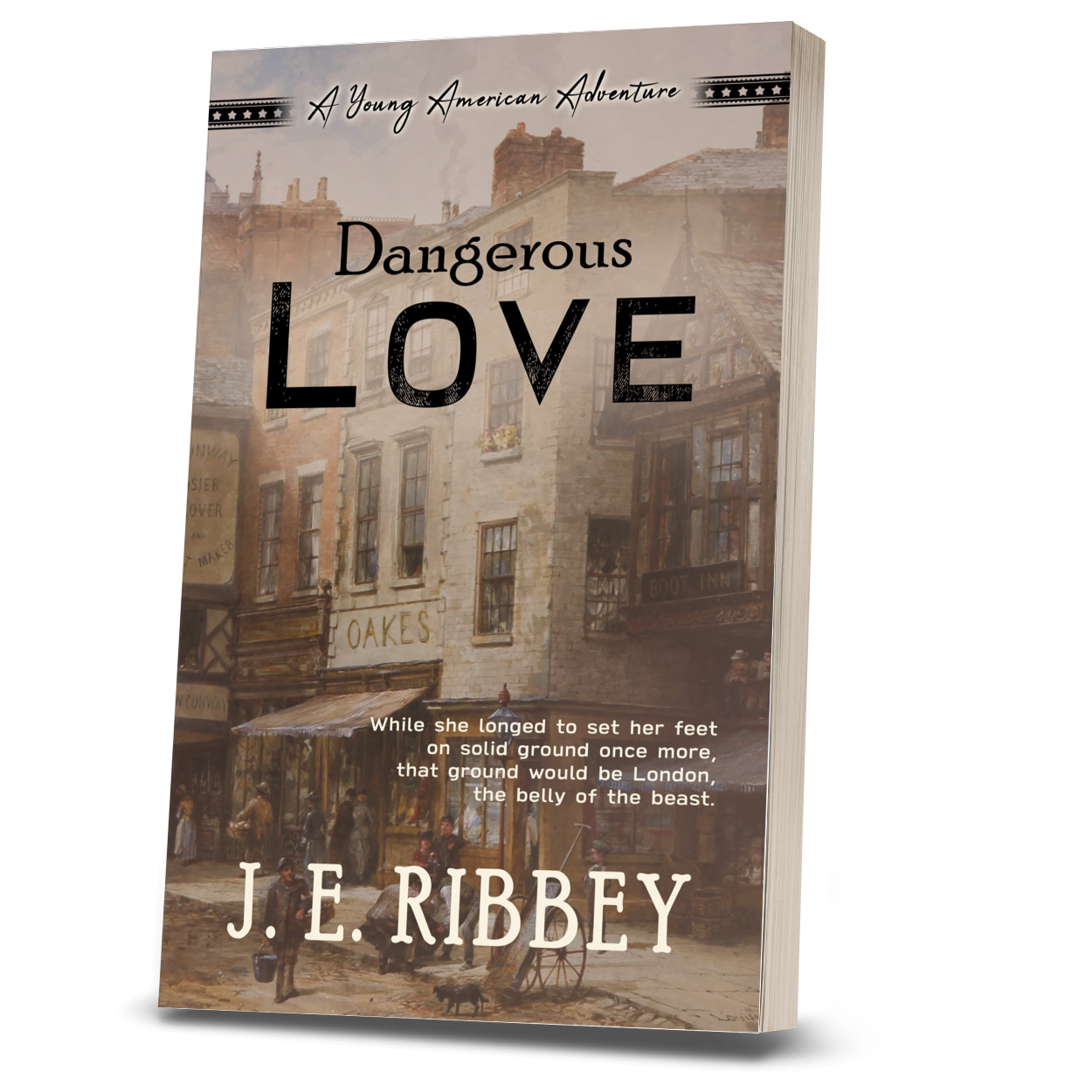 SAVE 20% when you PREORDER Dangerous Love: Book 8 (paperback)